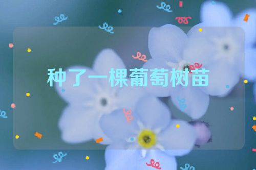 种了一棵葡萄树苗