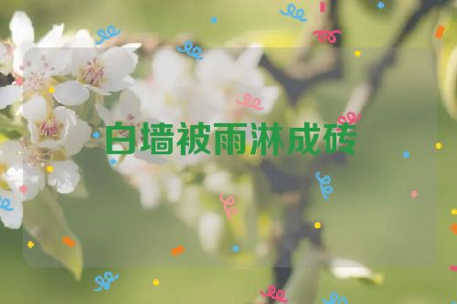 白墙被雨淋成砖