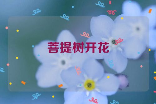 菩提树开花