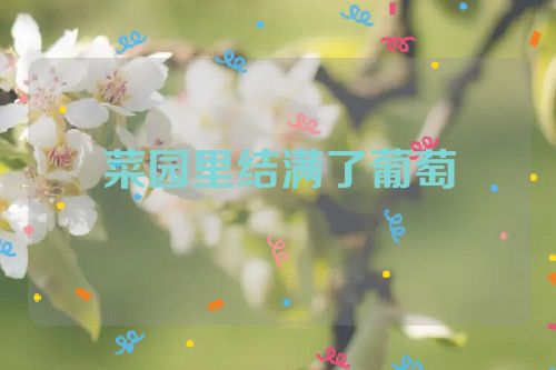 菜园里结满了葡萄