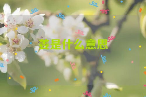 姜是什么意思