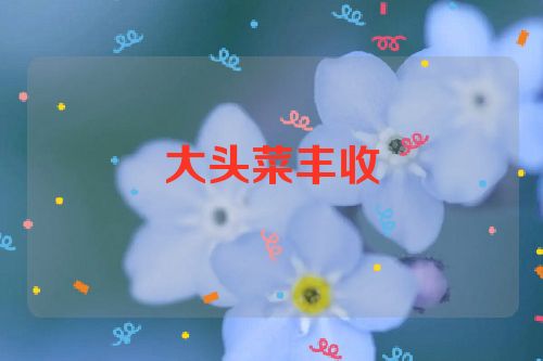 大头菜丰收