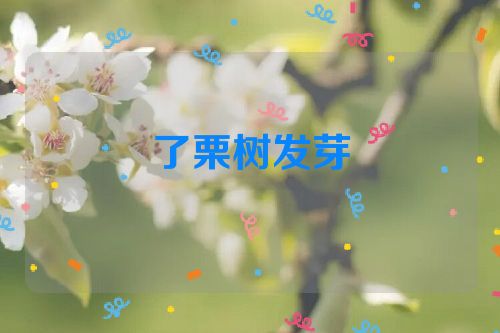 了栗树发芽