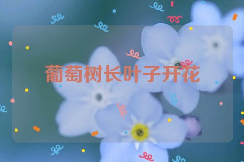 葡萄树长叶子开花