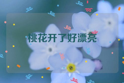 桃花开了好漂亮