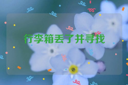 行李箱丢了并寻找