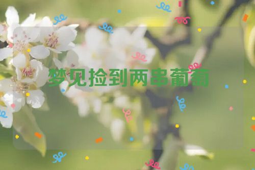 梦见捡到两串葡萄