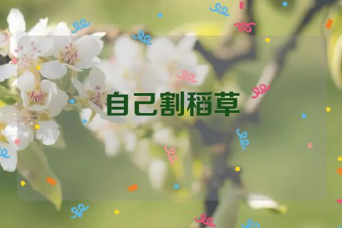 自己割稻草