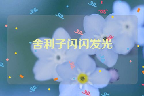 舍利子闪闪发光