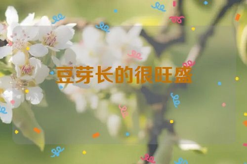 豆芽长的很旺盛