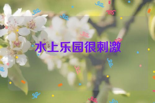 水上乐园很刺激