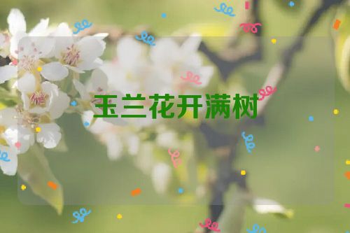 玉兰花开满树