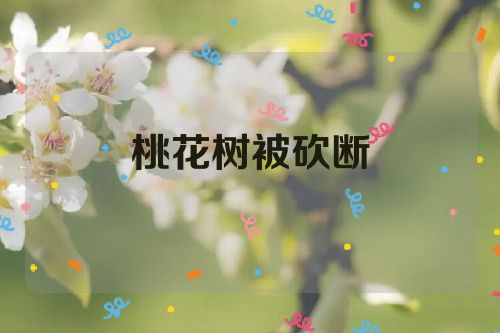 桃花树被砍断