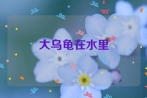 大乌龟在水里