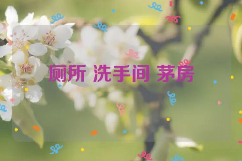 厕所 洗手间 茅房