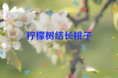 柠檬树结长桃子