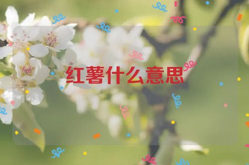 红薯什么意思