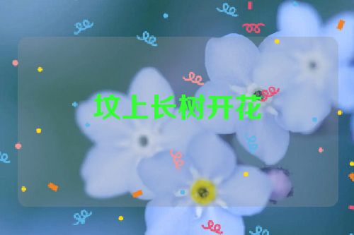 坟上长树开花