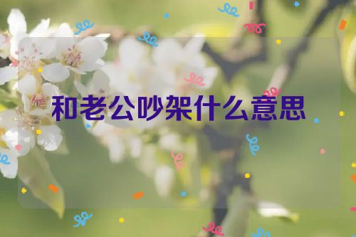 和老公吵架什么意思