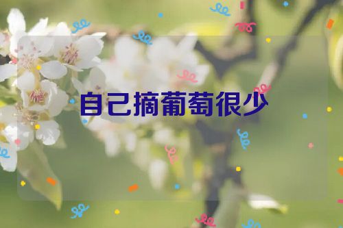 自己摘葡萄很少