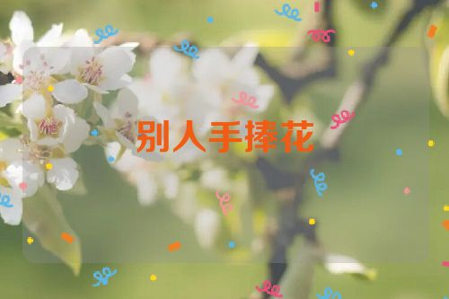 别人手捧花