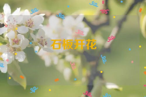 石板开花