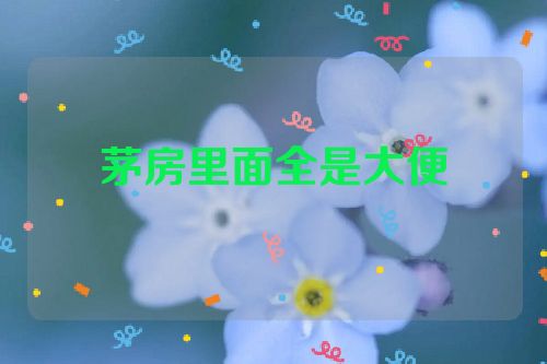 茅房里面全是大便