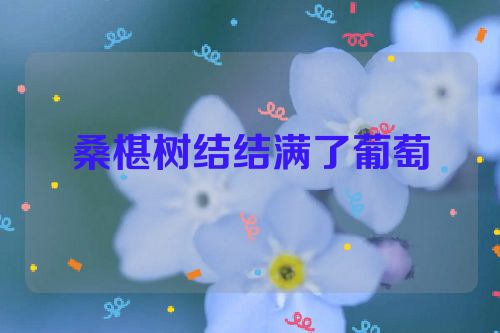 桑椹树结结满了葡萄