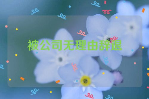 被公司无理由辞退