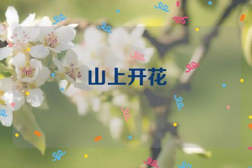 山上开花