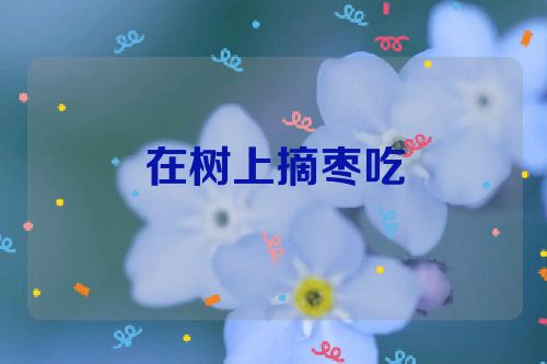 在树上摘枣吃