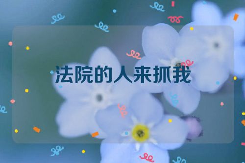 法院的人来抓我