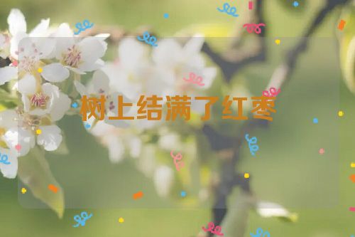 树上结满了红枣