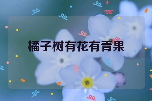 橘子树有花有青果