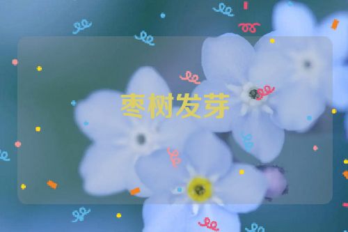 枣树发芽