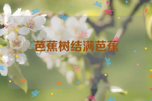 芭蕉树结满芭蕉