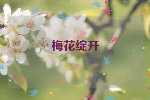 梅花绽开