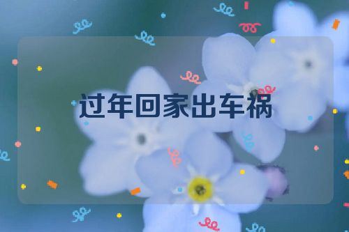 过年回家出车祸