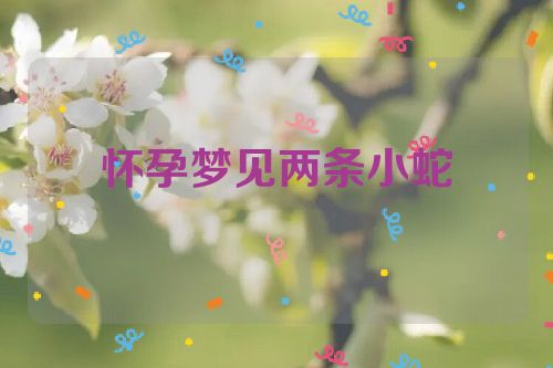 怀孕梦见两条小蛇