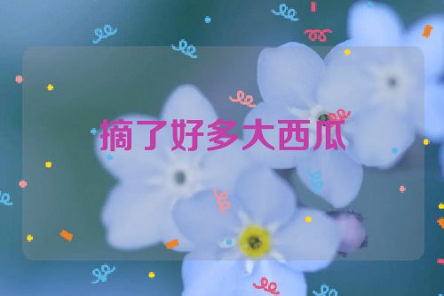 摘了好多大西瓜